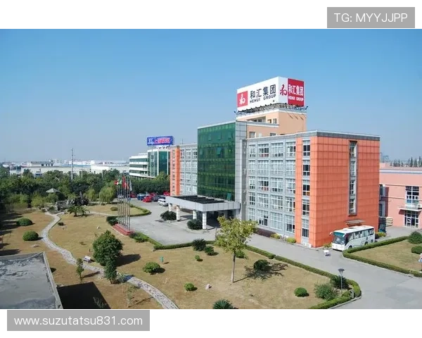 凯发集团有限公司:在全球市场中的竞争优势与品牌建设 凯发集团有限公司:在全球市场中的竞争优势与品牌建设